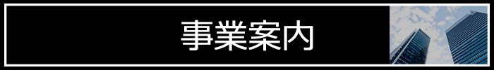 表示しない場合の名称